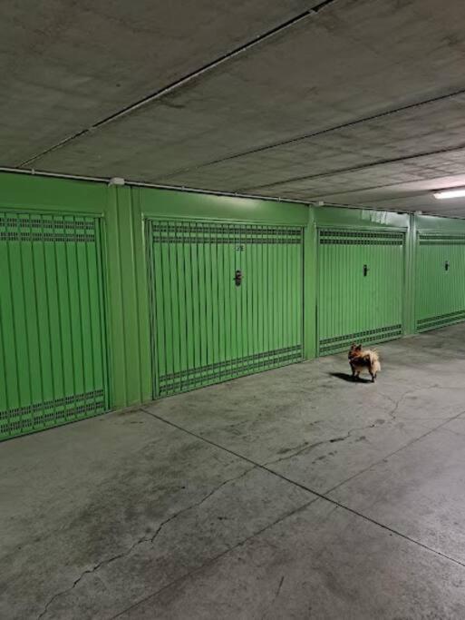 Centrale Vicino Spiagge E Ciclabile + Box-Auto ! Apartment Arma di Taggia Exterior foto
