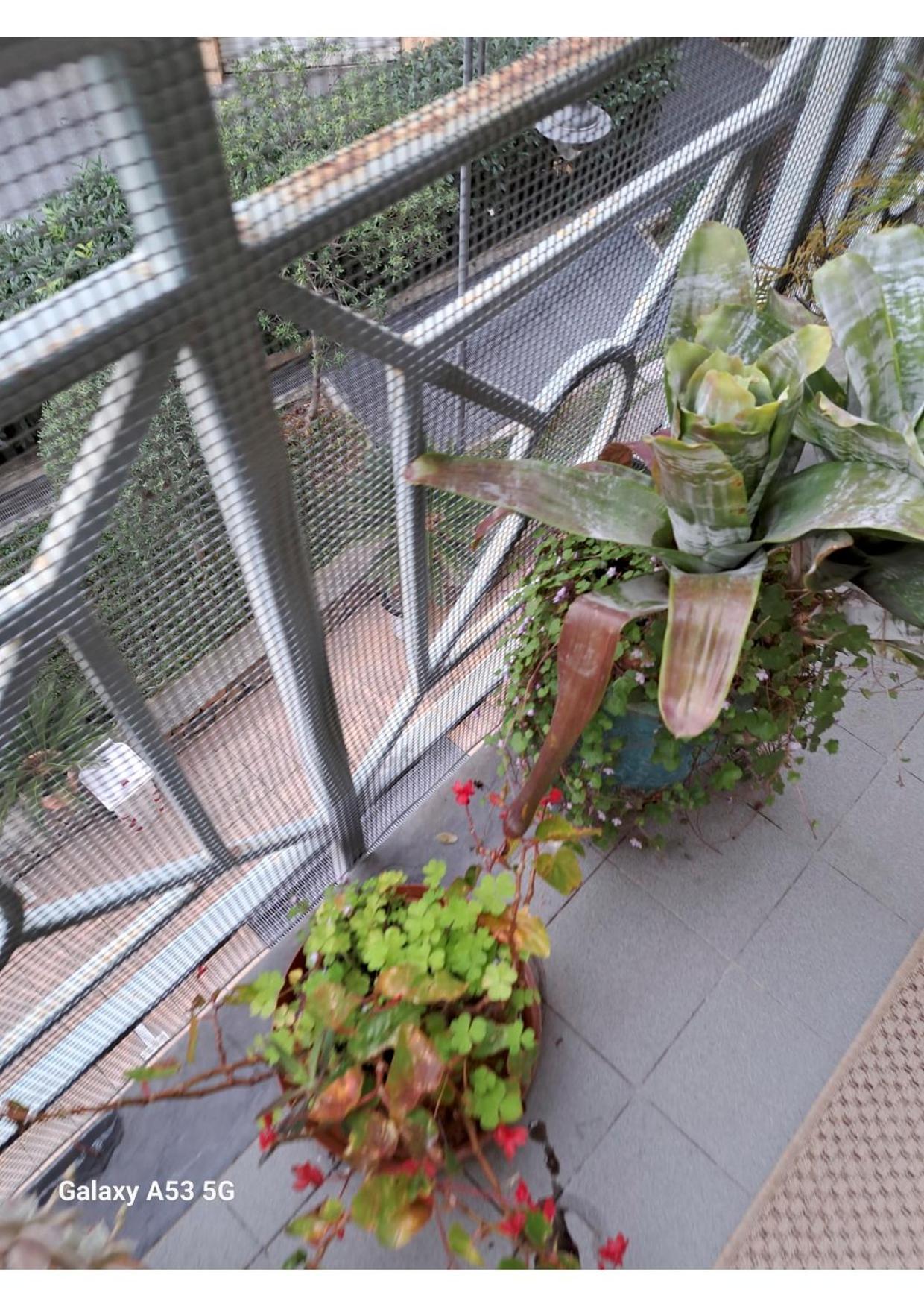 Centrale Vicino Spiagge E Ciclabile + Box-Auto ! Apartment Arma di Taggia Exterior foto